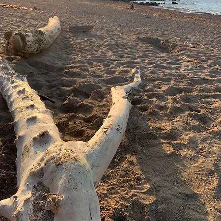 Chambre Capbreton 홈스테이